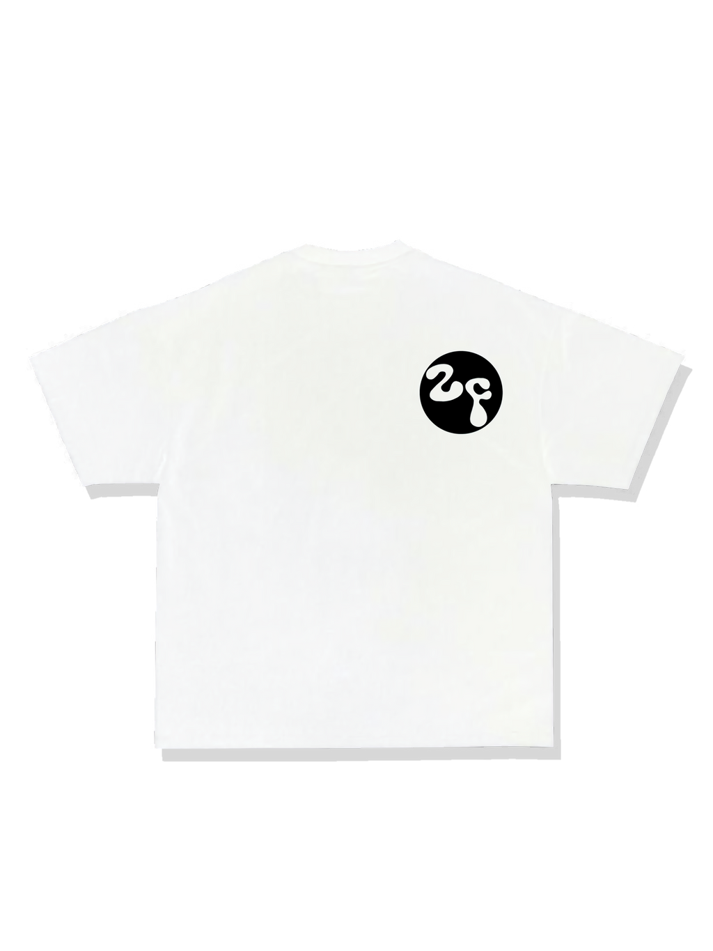 2FLY CLASSIC TEE - WHITE