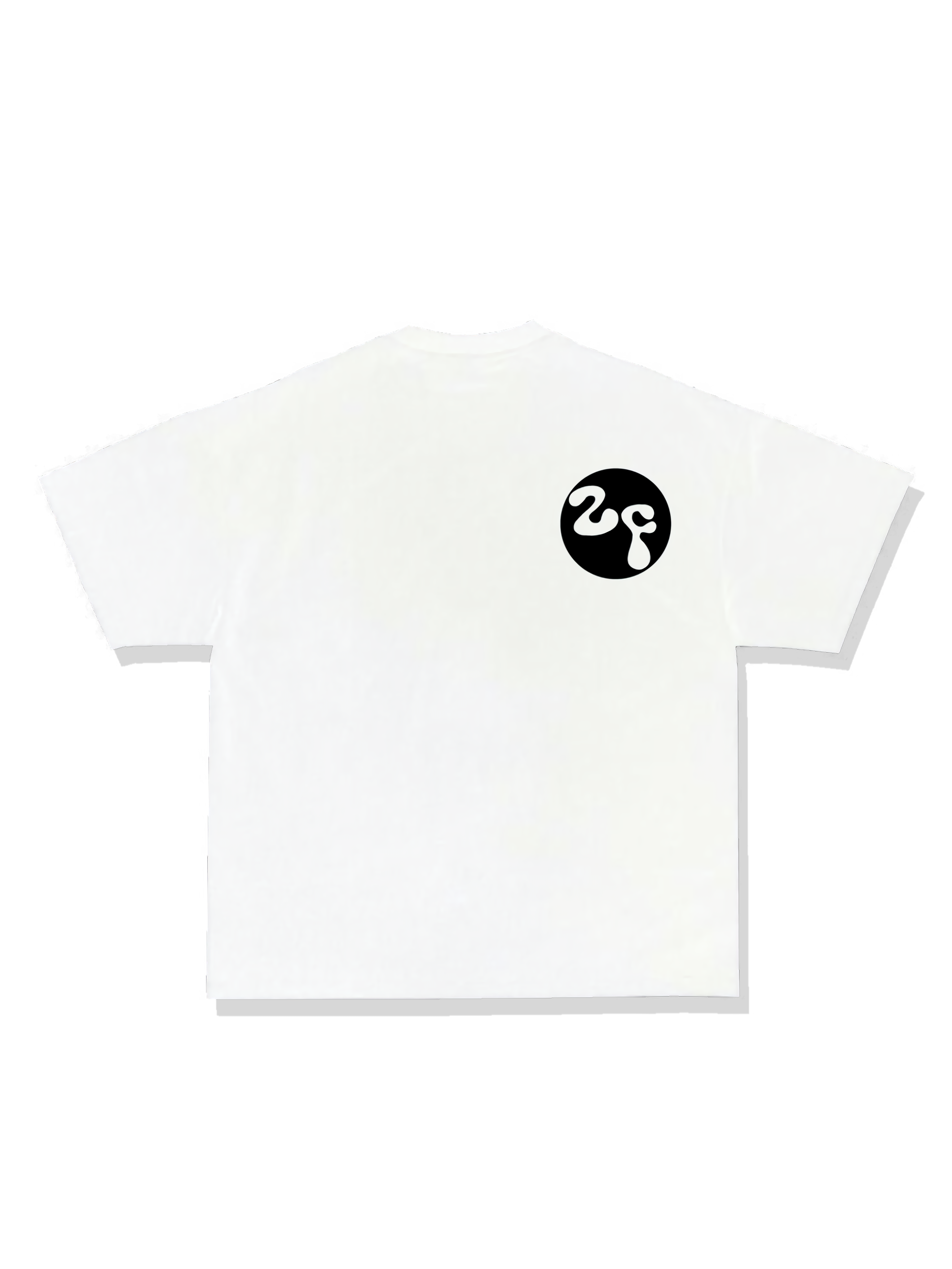 2FLY CLASSIC TEE - WHITE